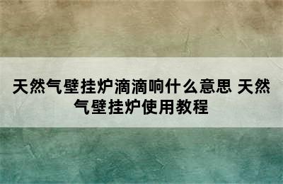 天然气壁挂炉滴滴响什么意思 天然气壁挂炉使用教程